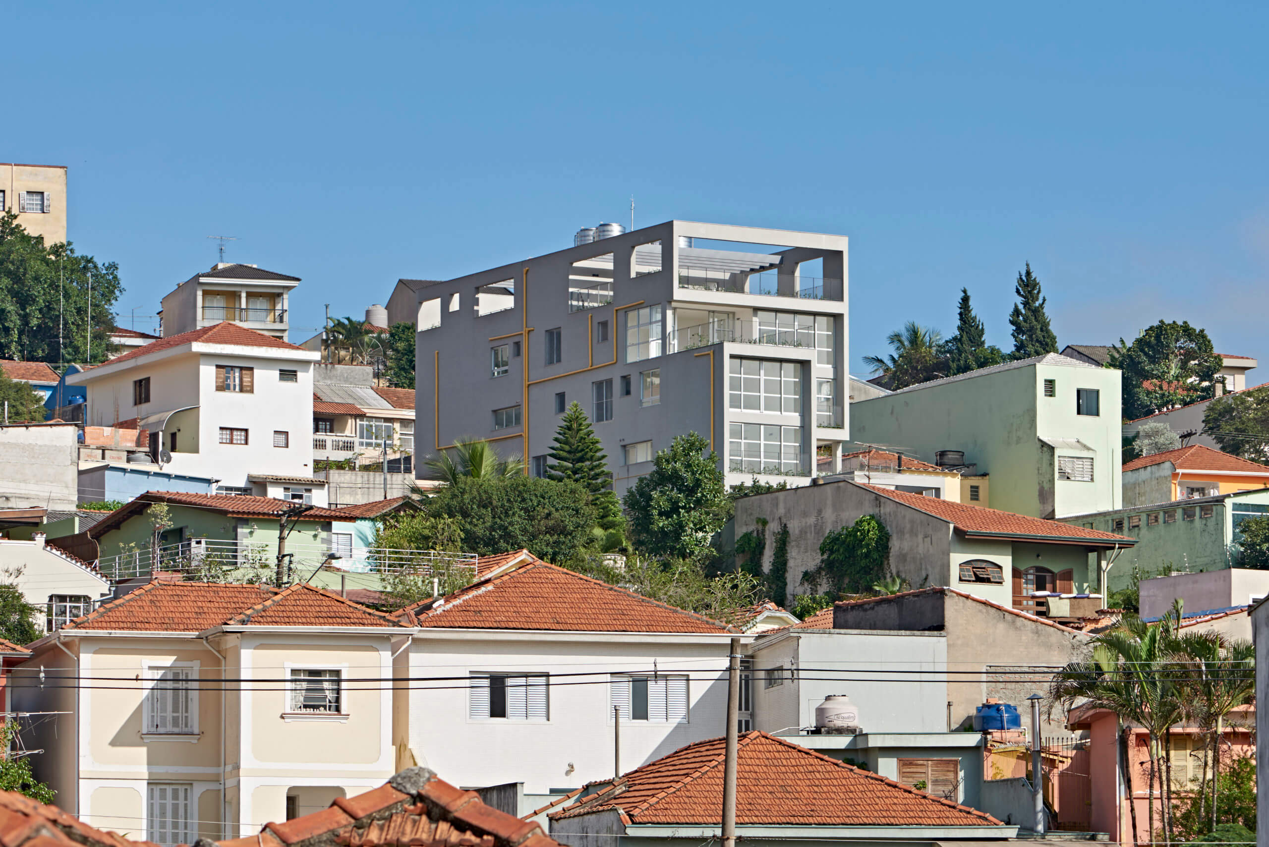 Camburiú - Acayaba Rosenberg