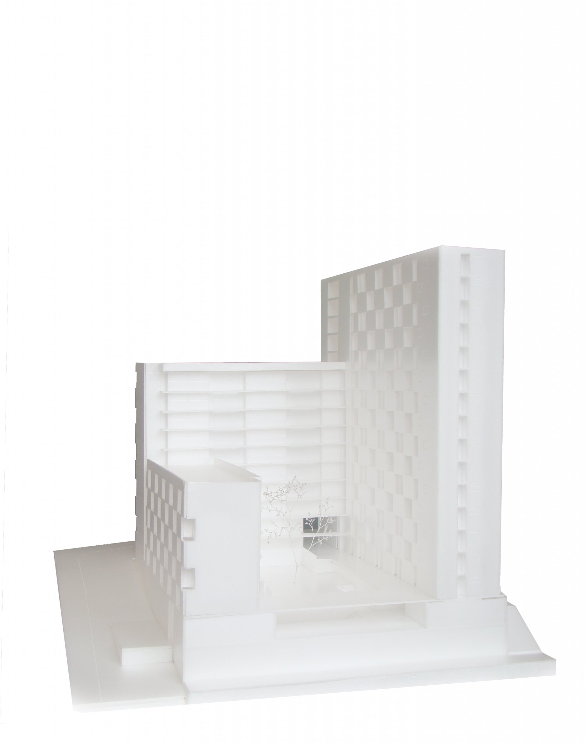 OUCAE_Acayaba Rosenberg