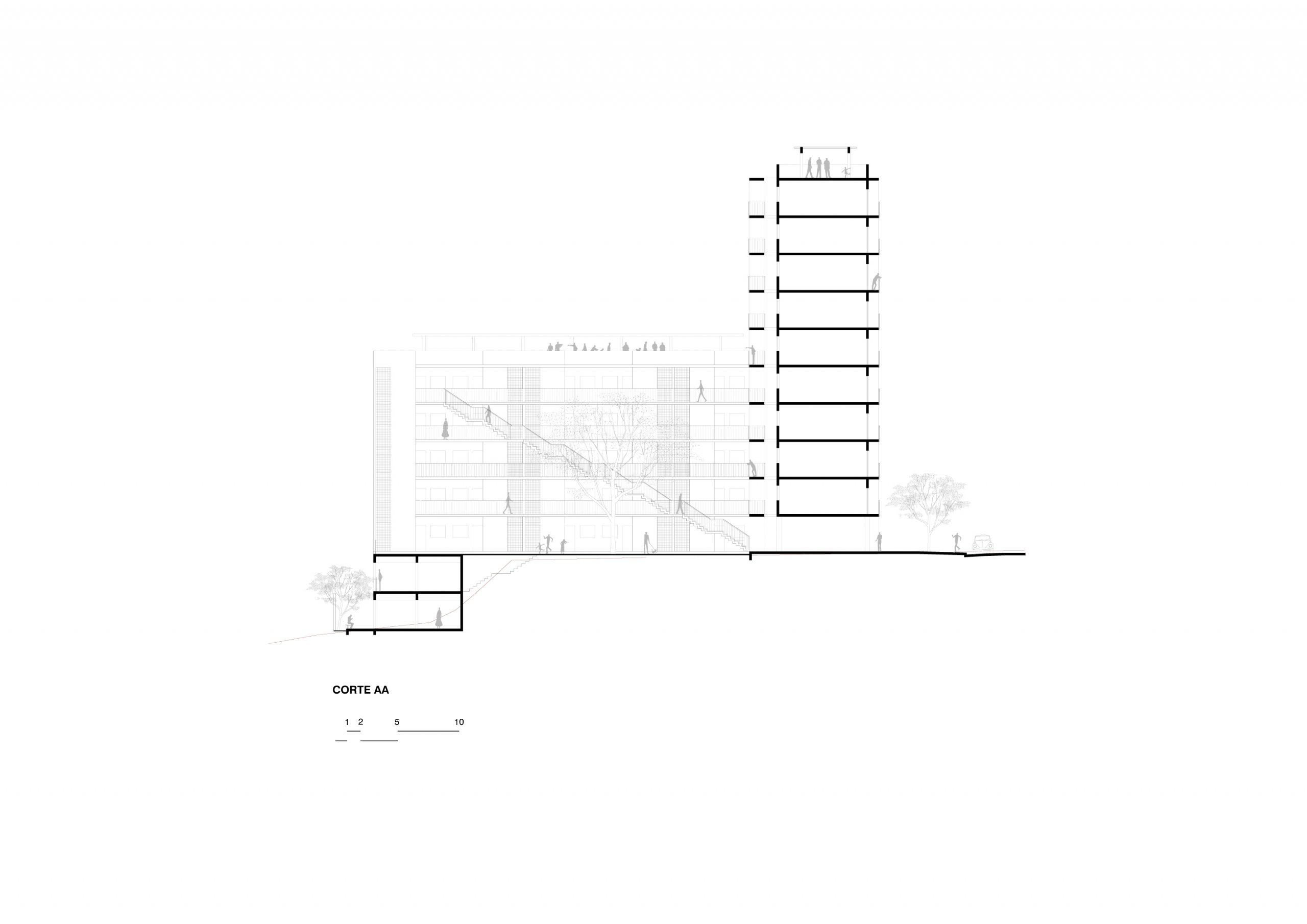 OUCAE_Acayaba Rosenberg