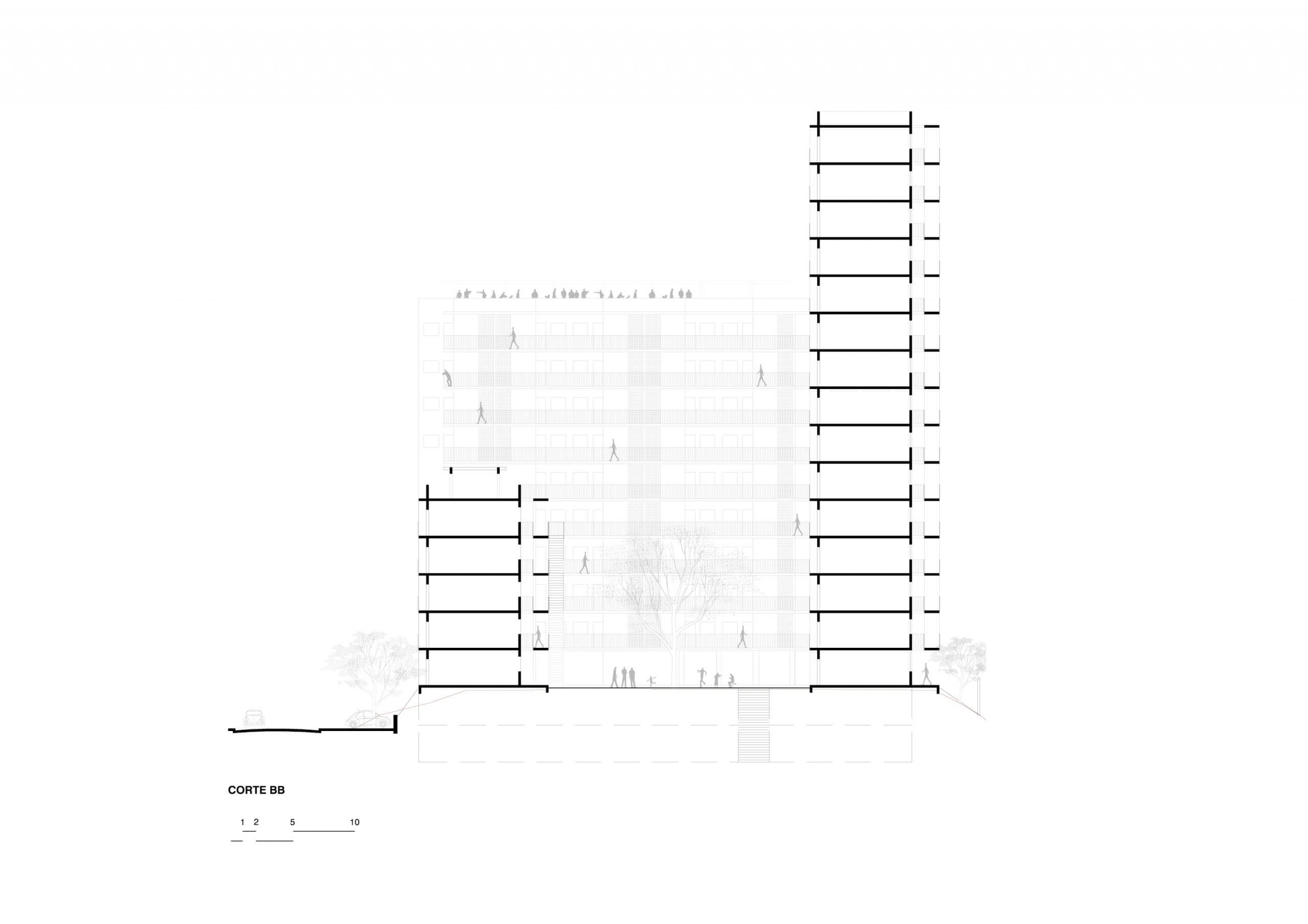OUCAE_Acayaba Rosenberg